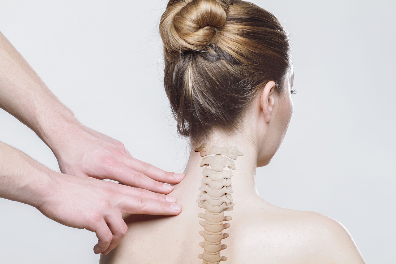 back, neck, spine-4916984.jpg